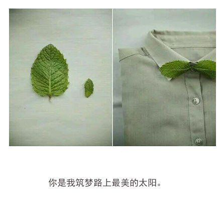 朋友圈精选配图  你是我筑梦路上最美的太阳