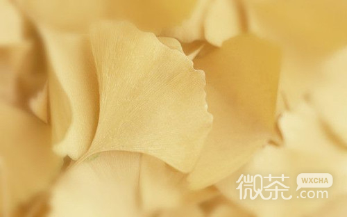 微信Lomo落叶图片大全  叶落知秋寒