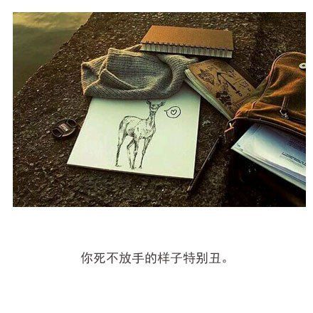 朋友圈精选配图  你是我筑梦路上最美的太阳