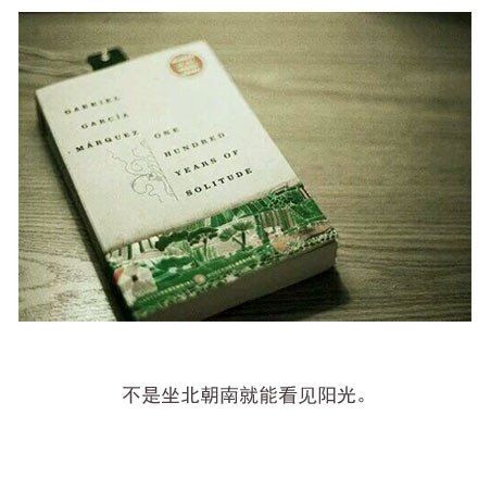 朋友圈精选配图  你是我筑梦路上最美的太阳