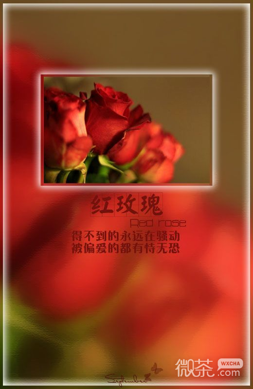陈奕迅经典歌词文字图片  得不到的永远在骚动