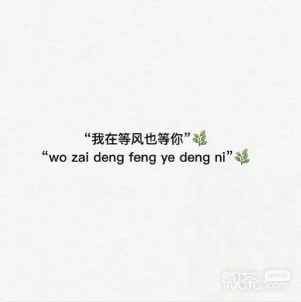精选伤感文字图片  你站的方向连风吹过来都是暖的