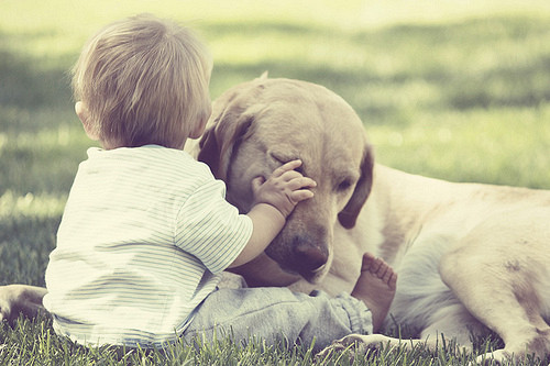 欧美风意境图片 我的心已不再是春天