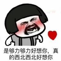 暴走好想你歌词表情包恶搞最新  我好想好想你