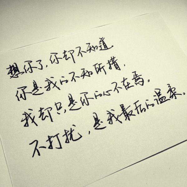 精选手绘文字配图  不打扰,是我最后的温柔