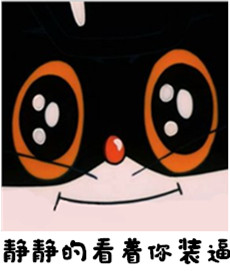 黑猫警长微信带字表情包系列  拿不出证据老子弄死你