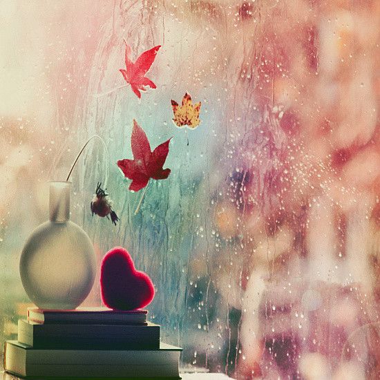 最新意境个性图片  花朵不曾凋零