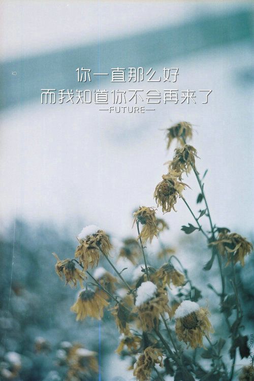 微信风景朋友圈图片 你是不需要和任何人比较的