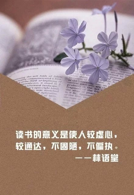 关于阅读的励志文字图片  人丑就该多读书