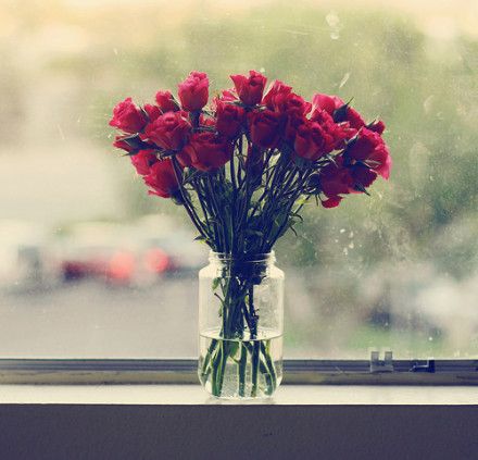 最新意境个性图片  花朵不曾凋零