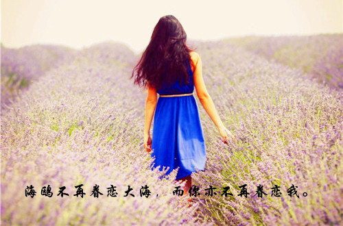 微信背影女生图片  背影里的淡淡伤感