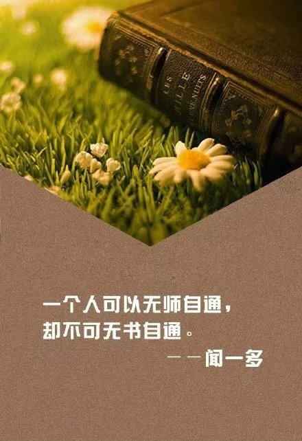 关于阅读的励志文字图片  人丑就该多读书