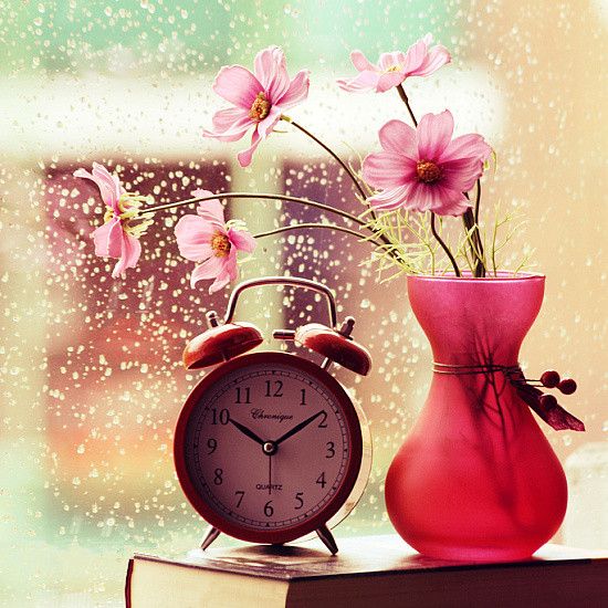 最新意境个性图片  花朵不曾凋零