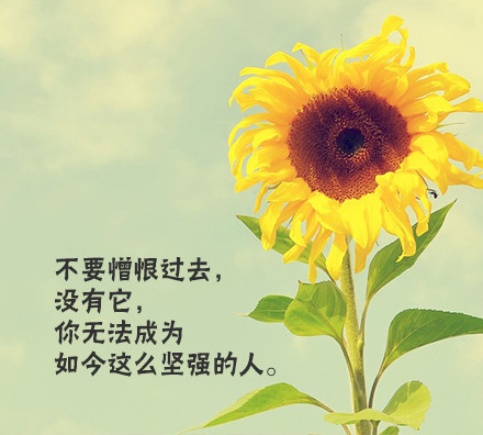 lomo风格唯美意境文字图片  努力让自己幸福起来