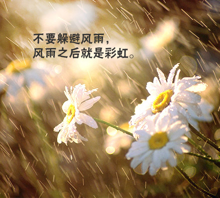 lomo风格唯美意境文字图片  努力让自己幸福起来