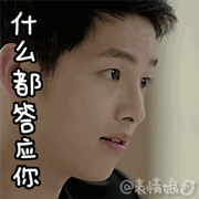 关于宋仲基老婆们的动态表情包  现在遍地都是我老婆