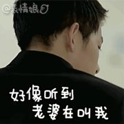 关于宋仲基老婆们的动态表情包  现在遍地都是我老婆