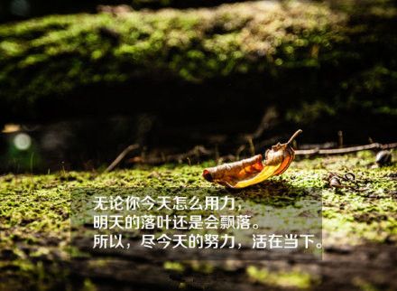 一些关于感悟生活的文字图片  有梦想就要立刻动身