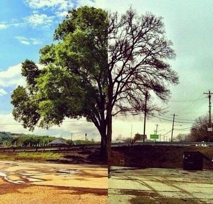 精选唯美意境图片  恍如隔世,听生活诉说光阴的故事