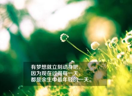 一些关于感悟生活的文字图片  有梦想就要立刻动身