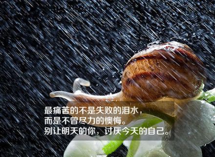 一些关于感悟生活的文字图片  有梦想就要立刻动身