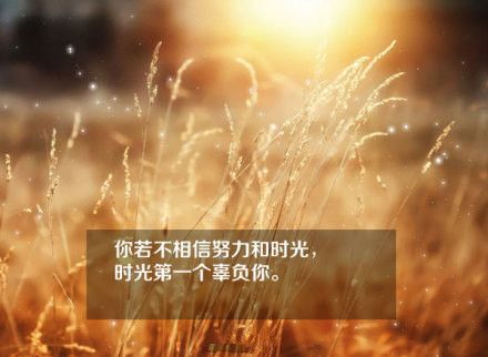 一些关于感悟生活的文字图片  有梦想就要立刻动身