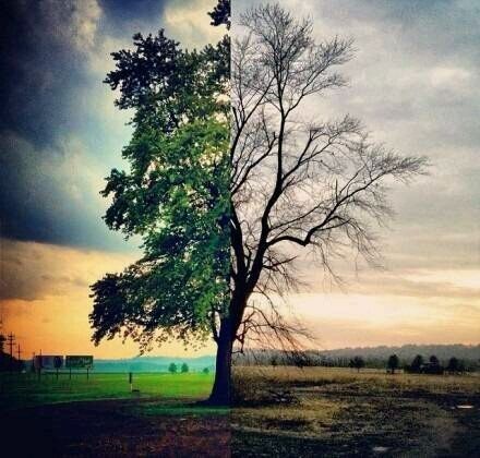 精选唯美意境图片  恍如隔世,听生活诉说光阴的故事