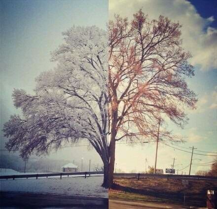 精选唯美意境图片  恍如隔世,听生活诉说光阴的故事