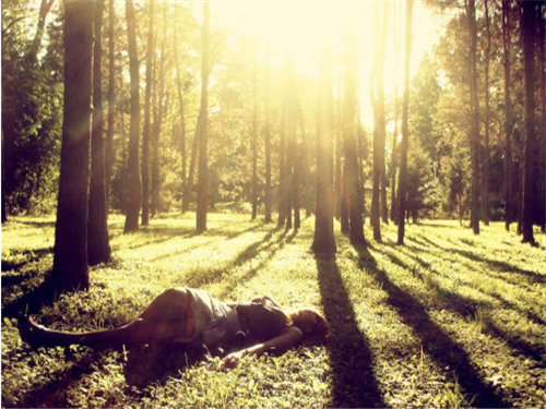 唯美治愈系温暖晨光图片  晨光静好,也有感伤