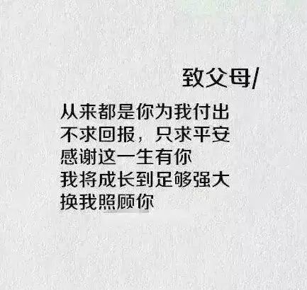 致所有陪伴  愿来年换得意义