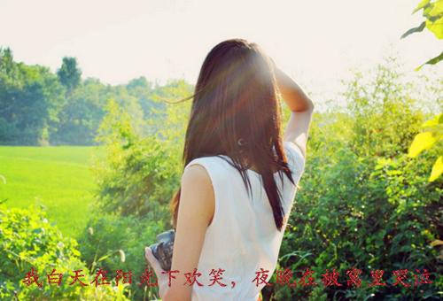 相机回忆小清新图片  记录我们回不去的青春年少