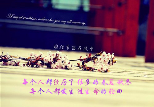 鲜花意境伤感语录图片  幸福是生生不息却难以触及的远