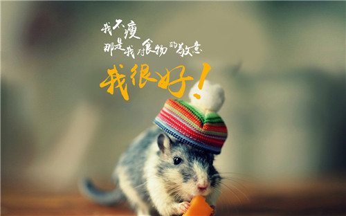 暖心正能量文字图片  和幸福同居,我很好!