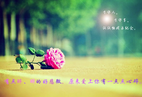 鲜花意境伤感语录图片  幸福是生生不息却难以触及的远