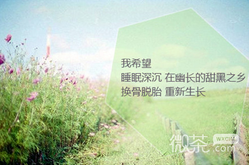 爱的箴言文字图片  用心铭记一生的希望