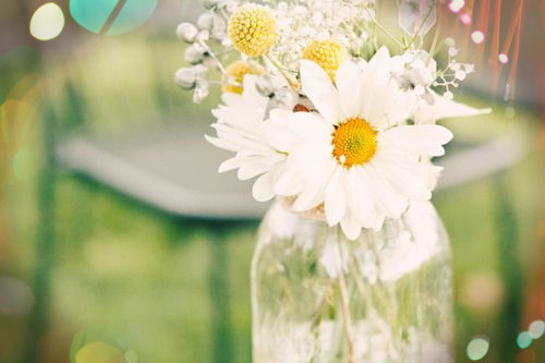 花朵唯美图片  梦境中盛开的花朵