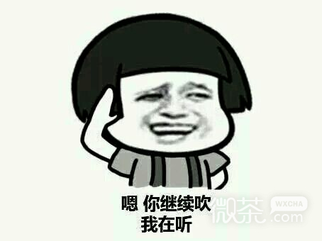 金馆长蘑菇头爆笑表情包  就你们村的人最会装逼，太可怕了