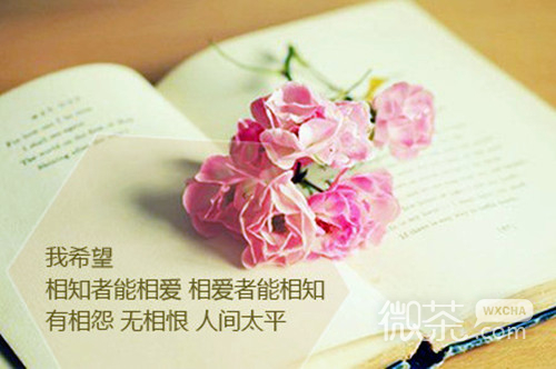 爱的箴言文字图片  用心铭记一生的希望