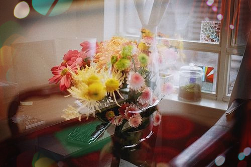 花朵唯美图片  梦境中盛开的花朵