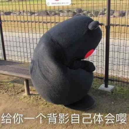 熊本熊微信表情包合集大全  大家都爱的熊本熊