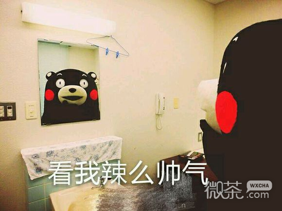 熊本熊微信表情包合集大全  大家都爱的熊本熊