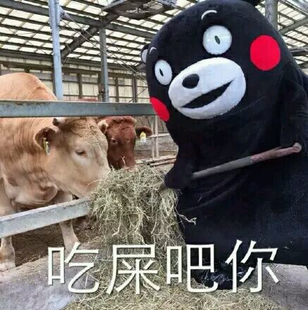 熊本熊微信表情包合集大全  大家都爱的熊本熊