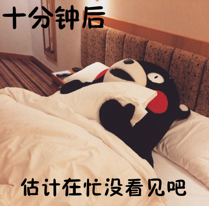 心塞！当和暗恋的人聊天时  熊本熊微信搞笑表情包