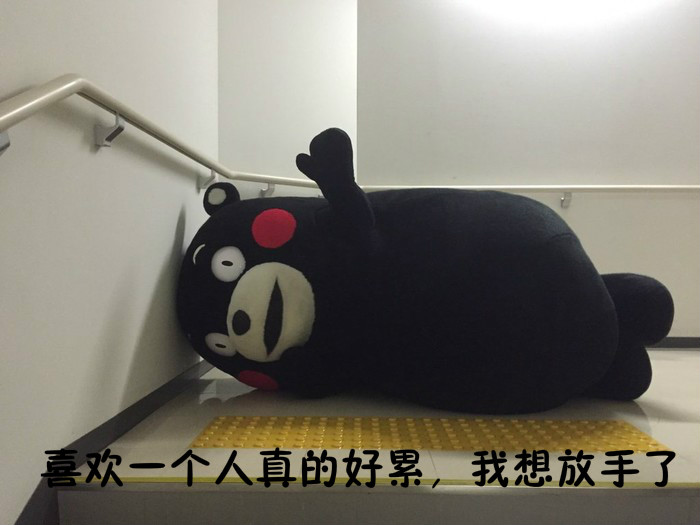 心塞！当和暗恋的人聊天时  熊本熊微信搞笑表情包