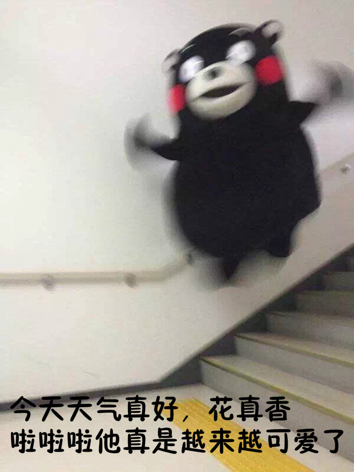 心塞！当和暗恋的人聊天时  熊本熊微信搞笑表情包