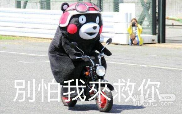 熊本熊微信表情包合集大全  大家都爱的熊本熊