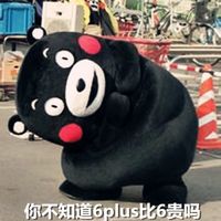 熊本熊微信聊天搞笑表情包 脸大给爸妈长脸啊