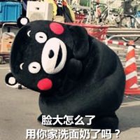 熊本熊微信聊天搞笑表情包 脸大给爸妈长脸啊