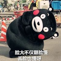 熊本熊微信聊天搞笑表情包 脸大给爸妈长脸啊