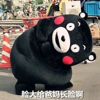 熊本熊微信聊天搞笑表情包 脸大给爸妈长脸啊